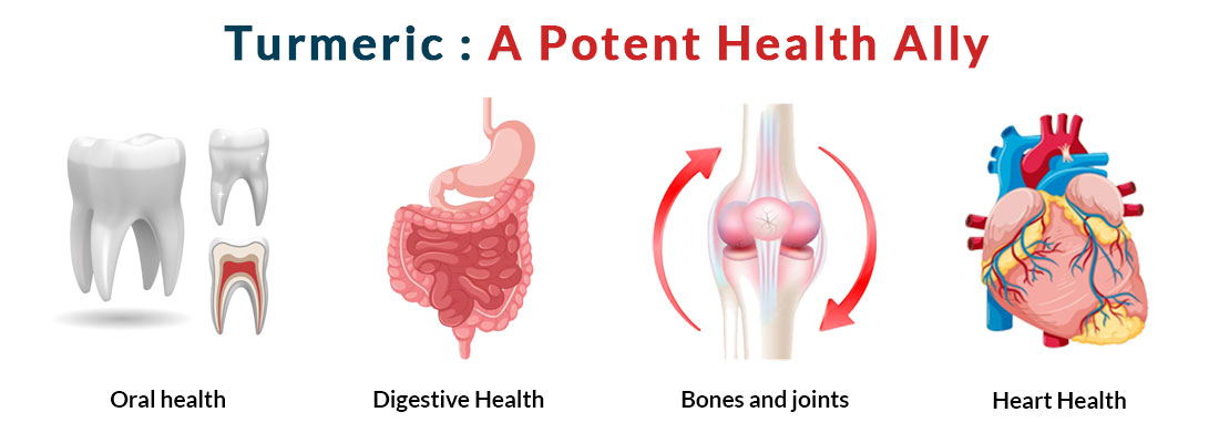 Turmeric A Potent Health Ally